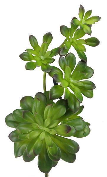 12"L CASCADING SEDUM PICK GREEN