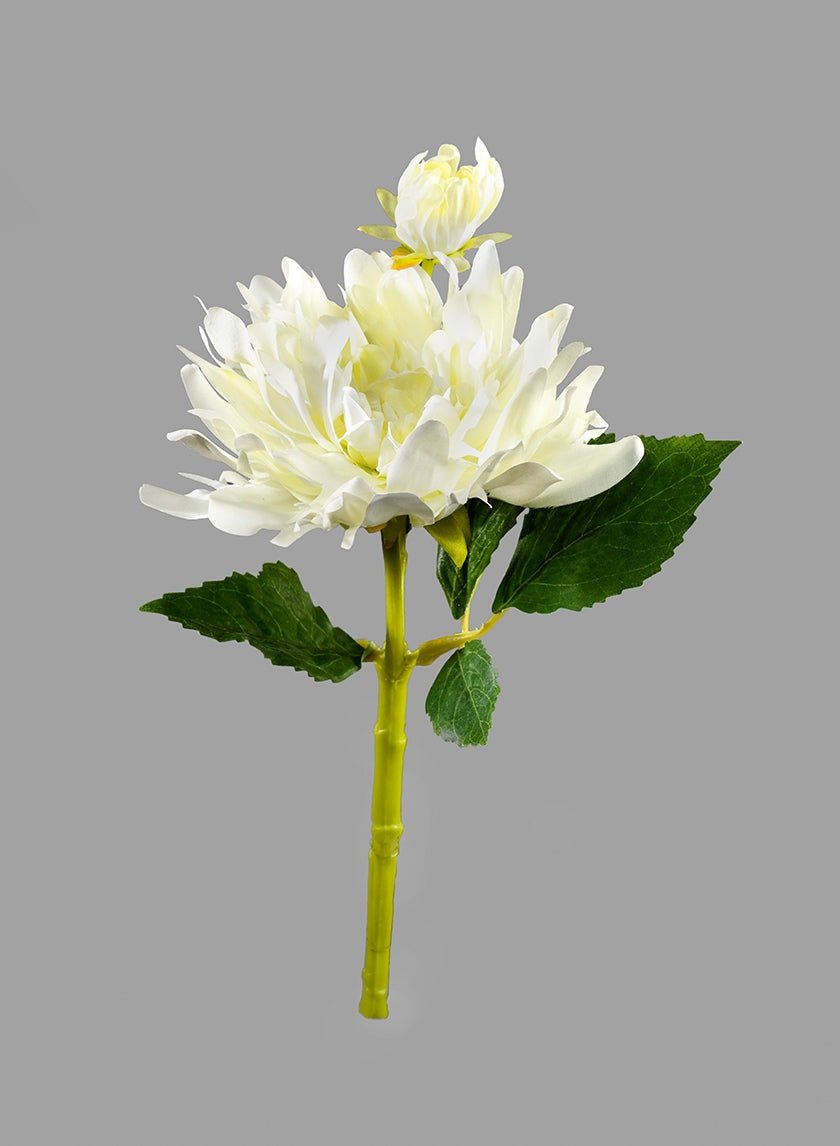 13 in White Dahlia