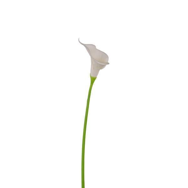 13.5"L WHITE CALLA LILY SINGLE STEM