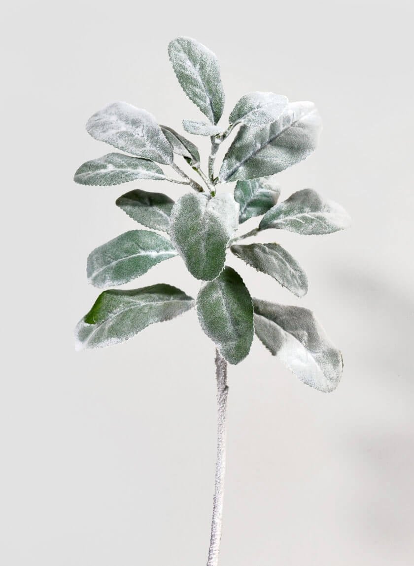 14 in Green Lamb's Ear Spray