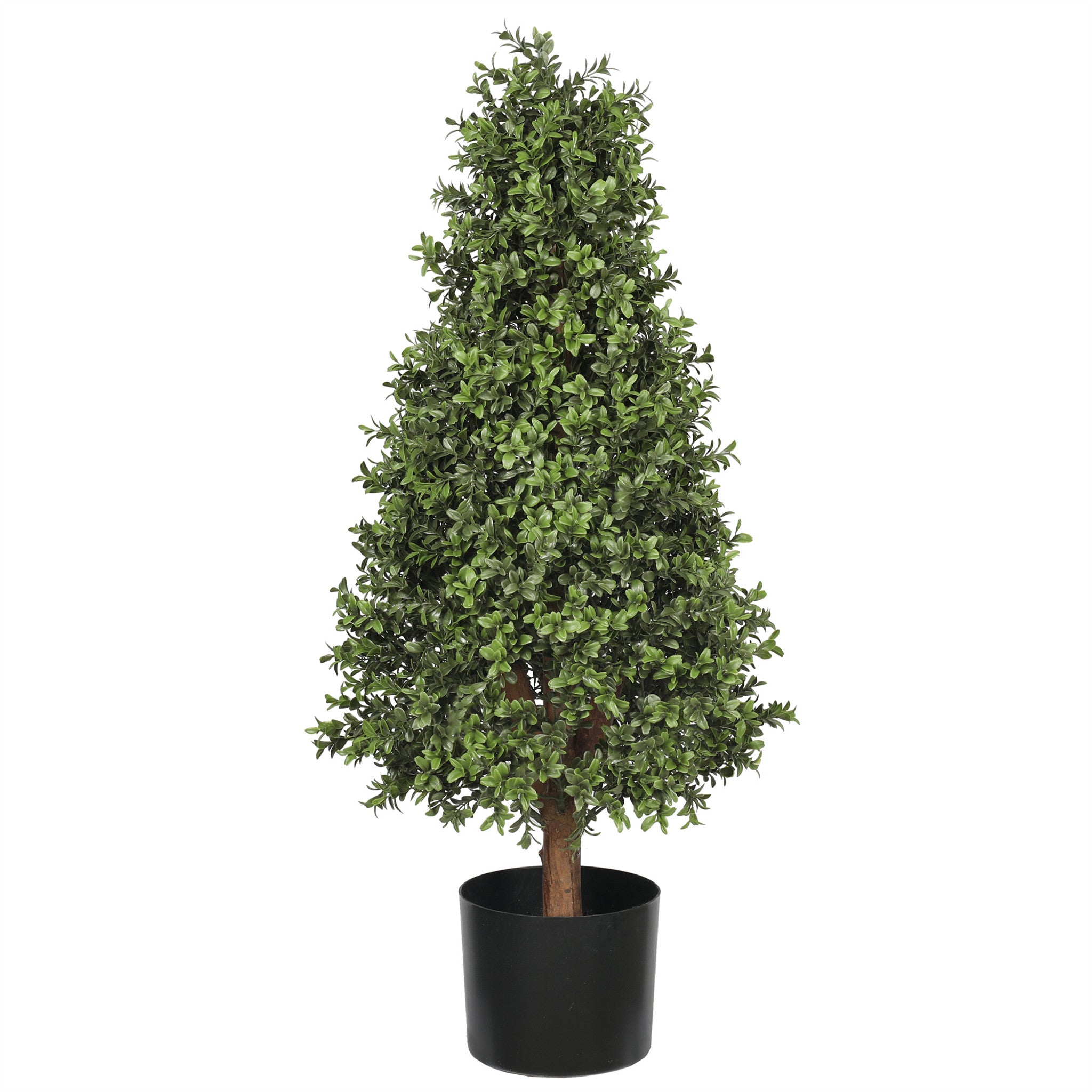 UV Boxwood Cone Topiary - 36 Inch
