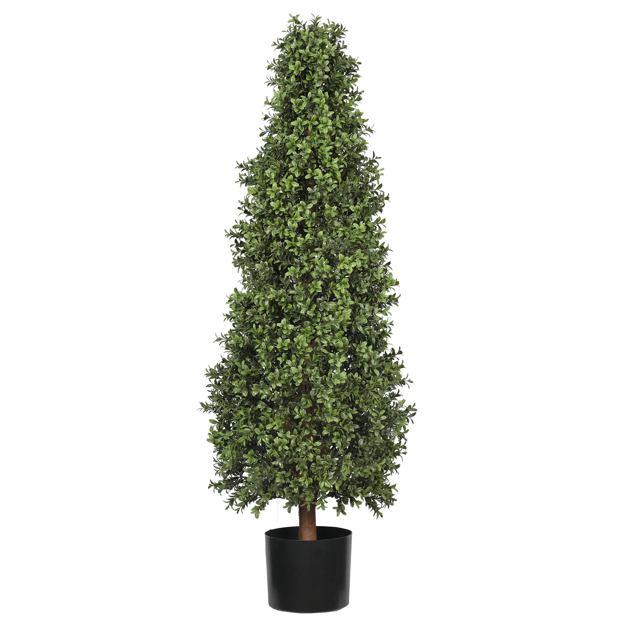 UV Boxwood Cone Topiary - 48 Inch