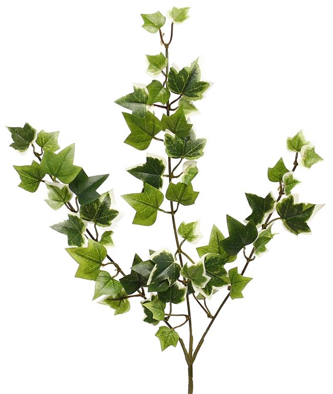 15"L VARIEGATED GREEN NEEDLEPOINT MINI IVY VINE X 3 WITH 49 LEAVES