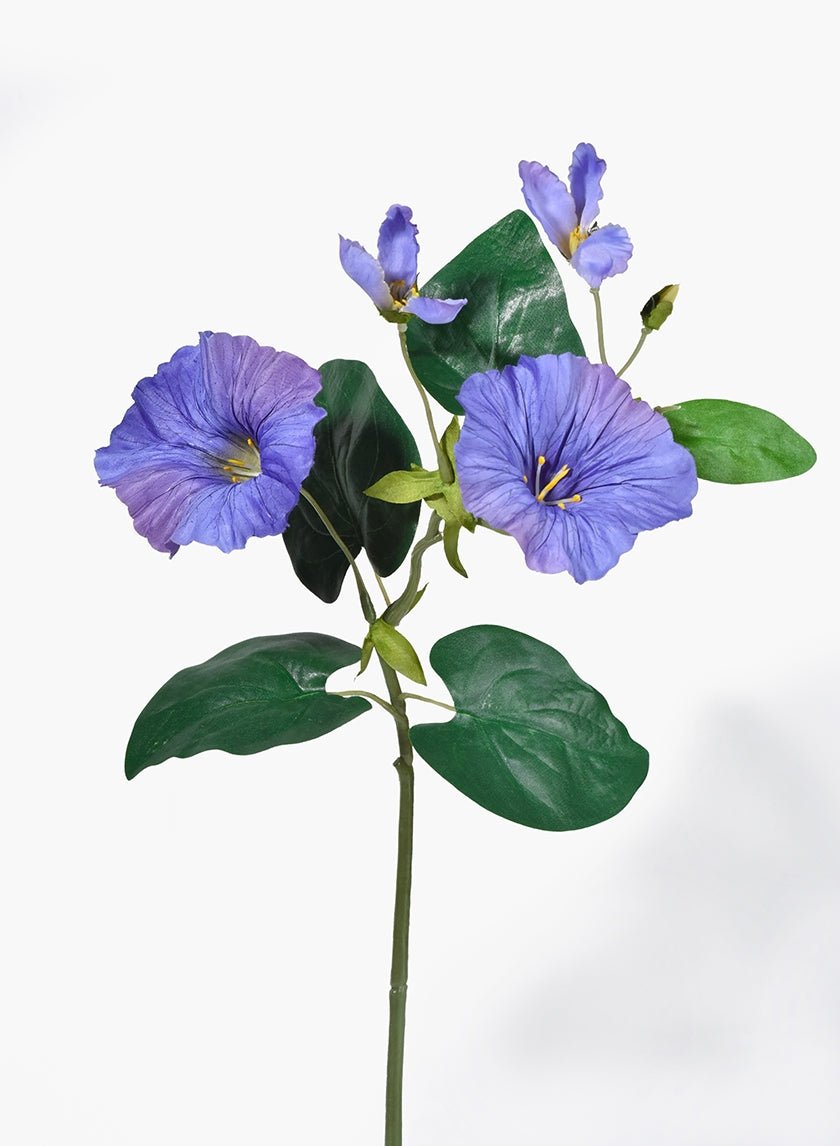 16 in Blue Morning Glory Spray