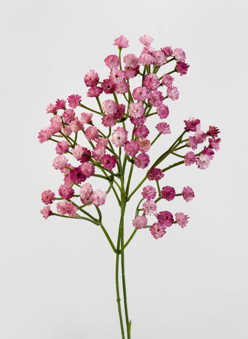 16 in Pink Gypsophila Spray