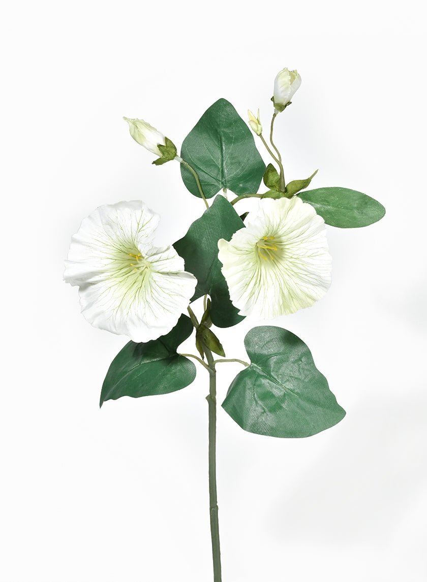 16 in white & Green Morning Glory Spray