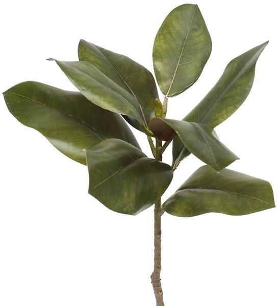 16.25"L MAGNOLIA LEAF PICK 2 - TONE GREEN/BROWN