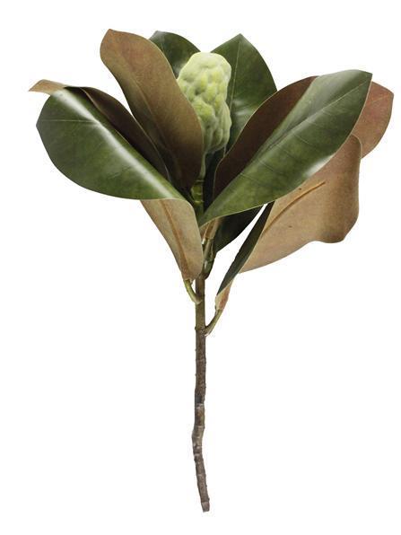 16"L MAGNOLIA LEAF BUD PICK 2 - TONE GREEN/BROWN