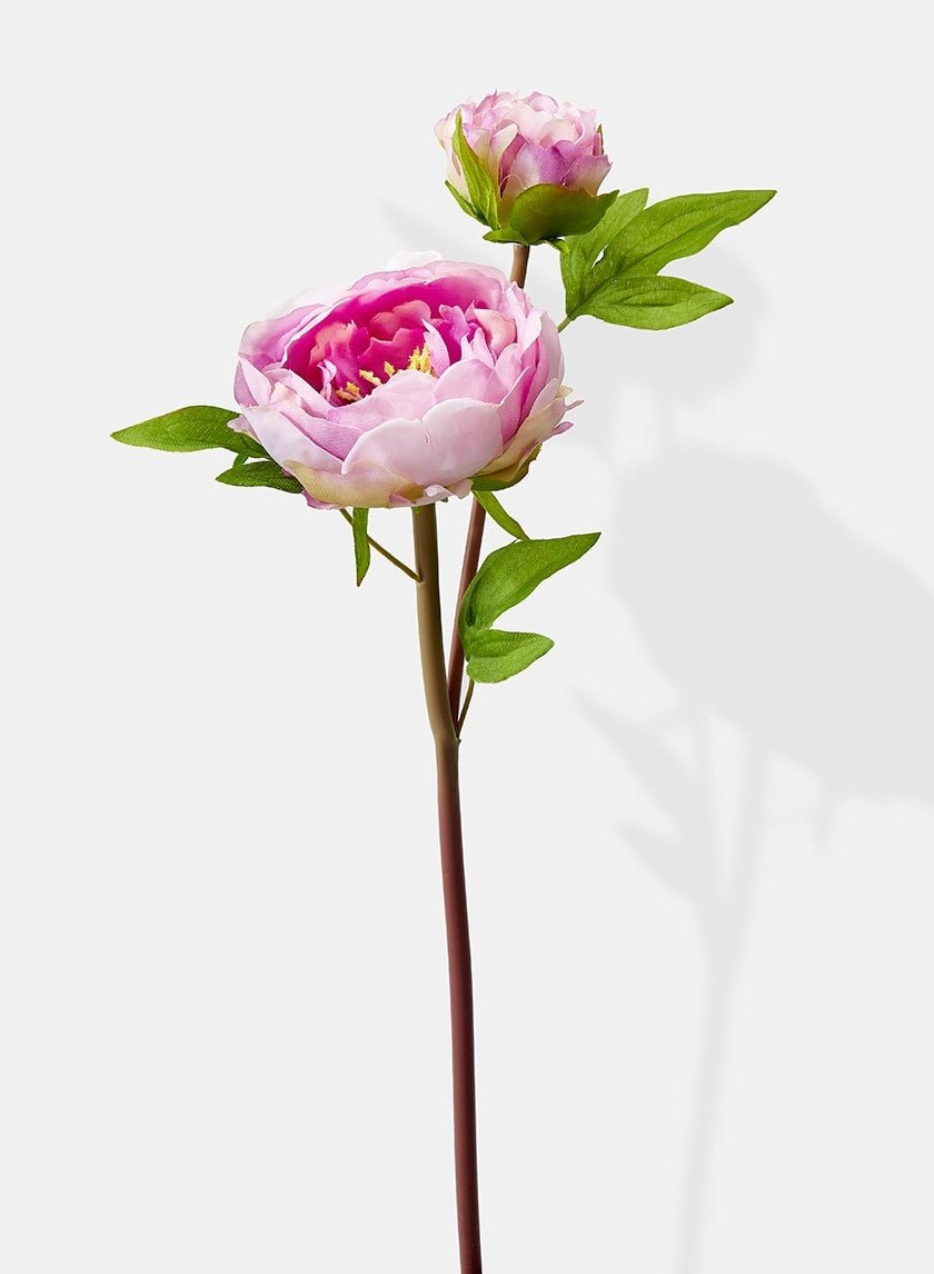 17 in Light Purple Half Moon Peony