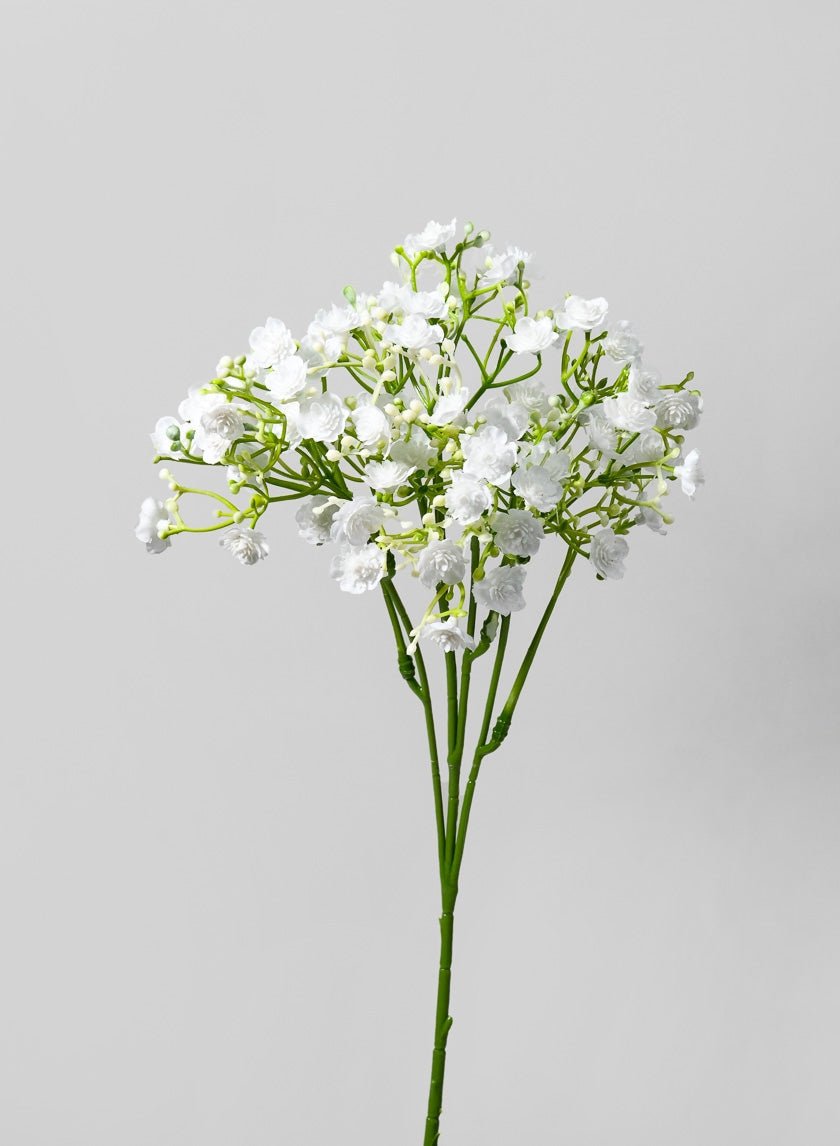 18 in New Gypso Spray