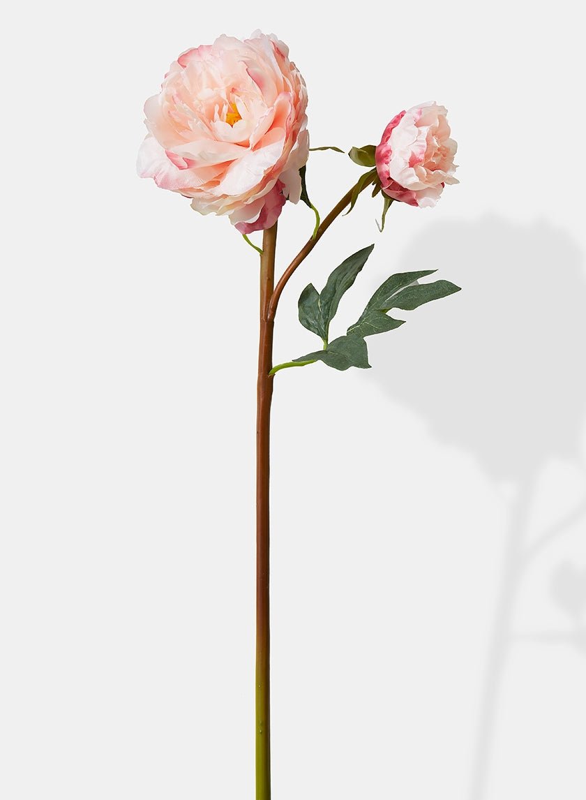 20 in Light Pink Peony