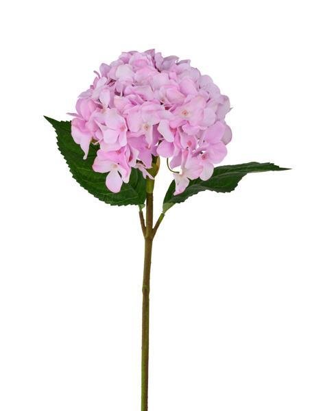 20"L PINK REAL TOUCH HYDRANGEA STEM