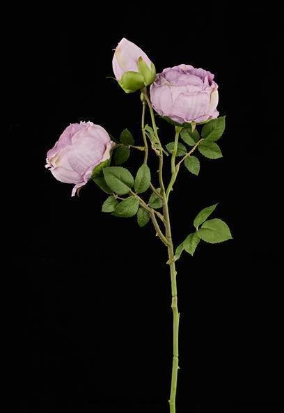 21.5"L CABBAGE ROSE PICK LAVENDER