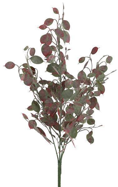 21"L PLASTIC MONEY PLANT BUSH DUSTY GREEN/RED