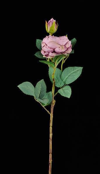 21"L ROSE/LEAF STEM LAVENDER