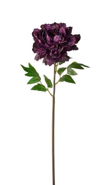 23"L VELVET/SATIN PEONY EGGPLANT