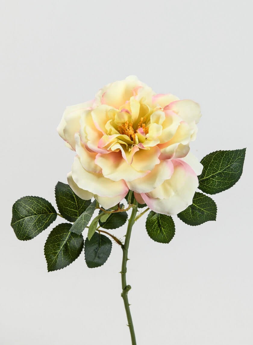 24 ½ in Pink & Cream Provence Rose Spray