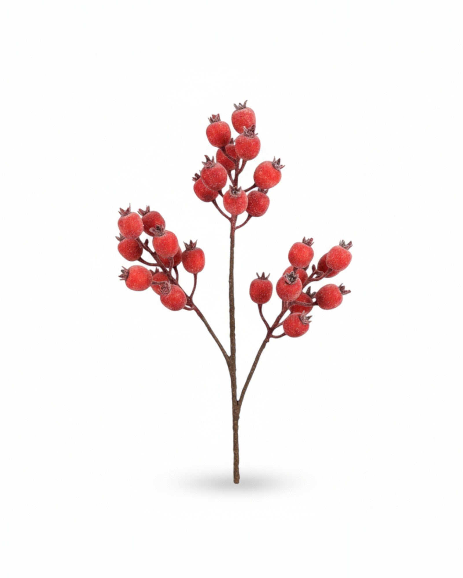 24 Inch Frosted Rosehip Spray