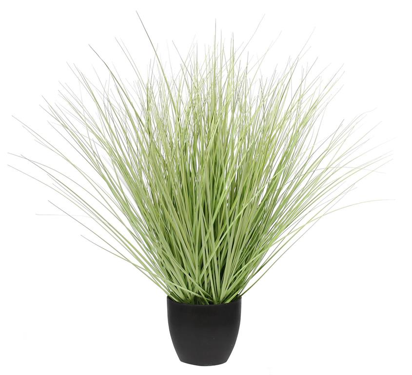 25.5"H POTTED GRASS ***MINIMUM 4*** MINT GREEN 7"TALL 7"WIDE POT