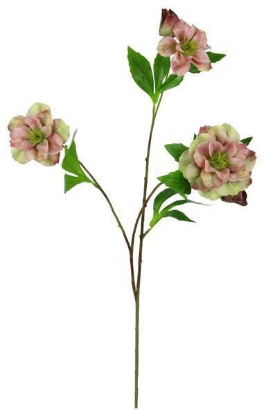 25.5"L LENTEN ROSE SPRAY PINK/CREAM