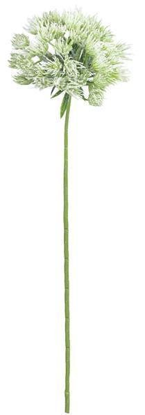 27.5"L ALLIUM SPRAY GREEN/WHITE