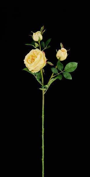 28.25"L CABBAGE ROSE SPRAY YELLOW