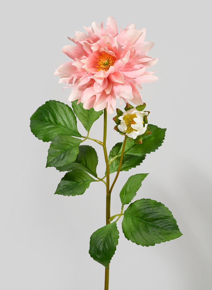 29 in Pink Dahlia Stem