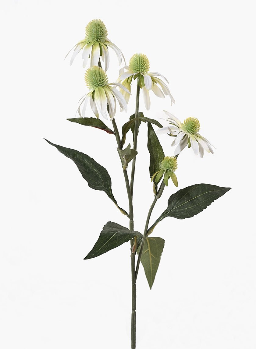 29 in White Coneflower Spray