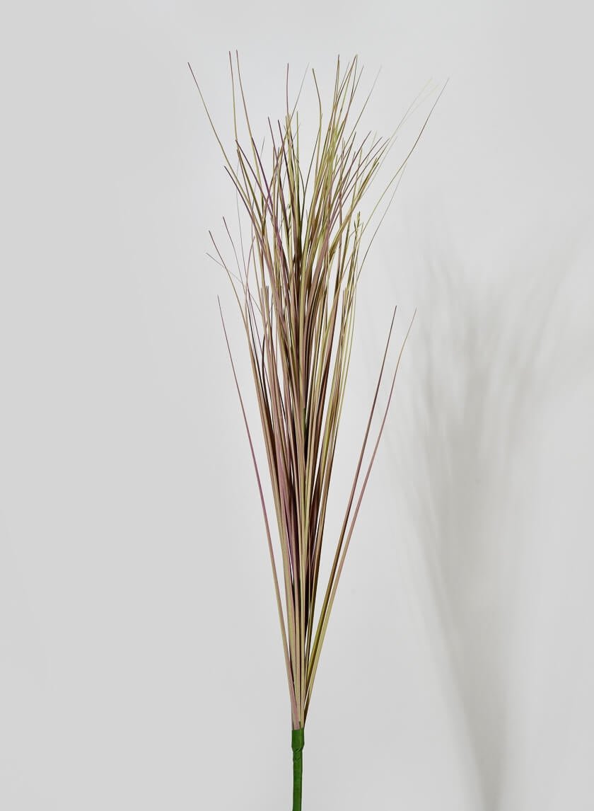 30 in Dry Onion Grass Pick