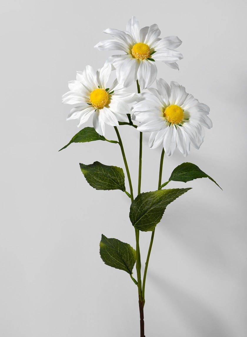 30 in Royal Daisy Spray