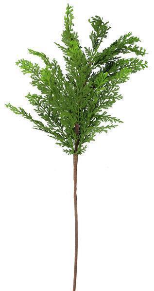 30"L CEDAR SPRAY GREEN