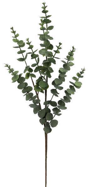 30"L EUCALYPTUS SPRAY GREEN