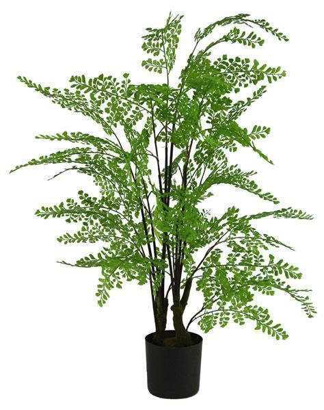 31" POTTED MAIDENHAIR FERN PLANT GREEN