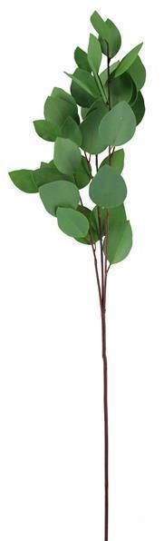 31"L GREEN HEART EUCALYPTUS SPRAY