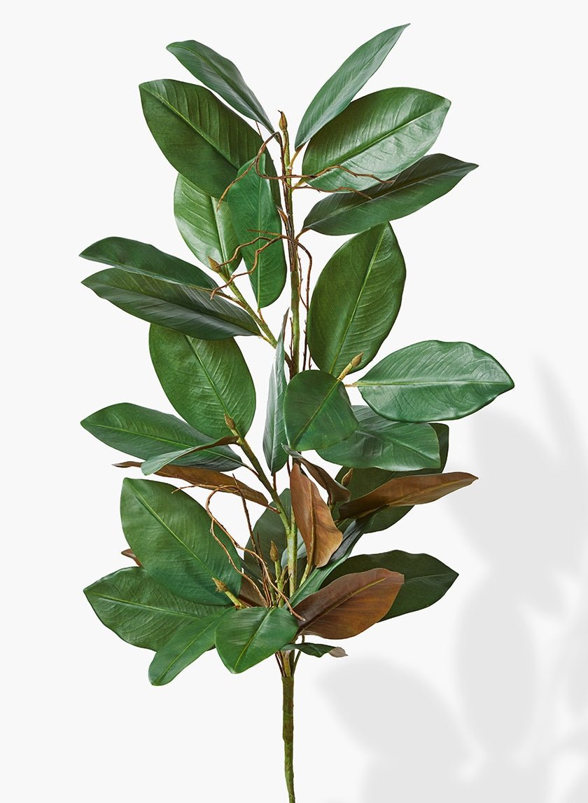 32 in Magnolia Leaf Garland