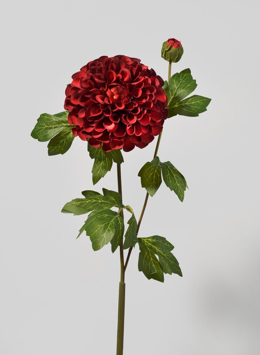 32 in Red Dahlia Stem