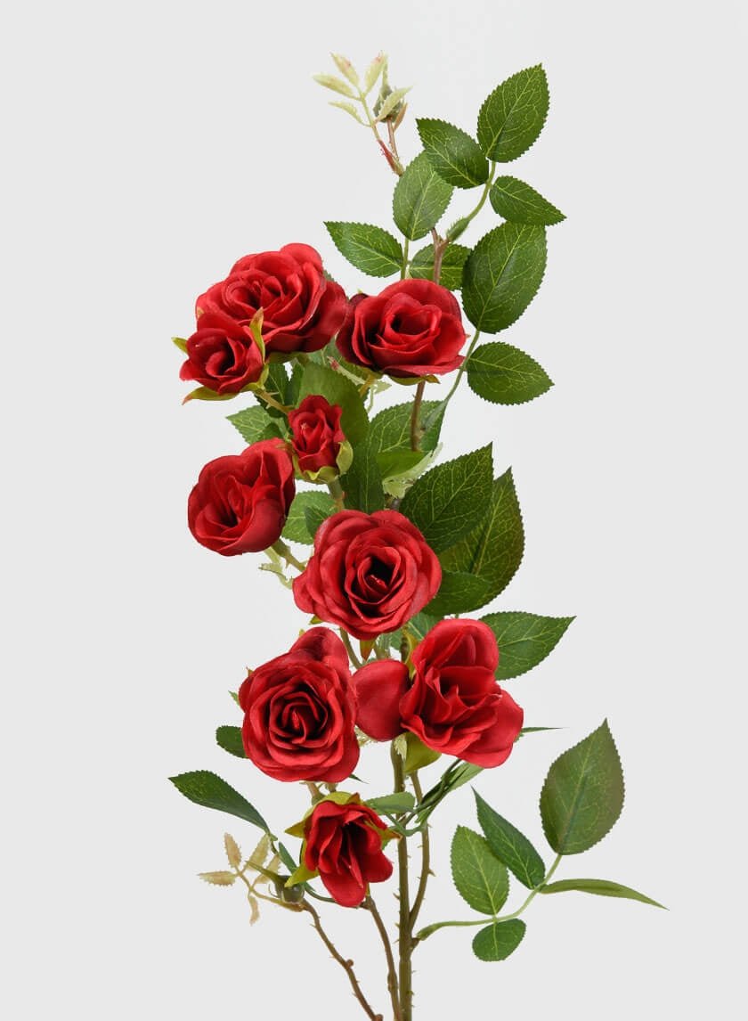 32 in Red Old China Rose