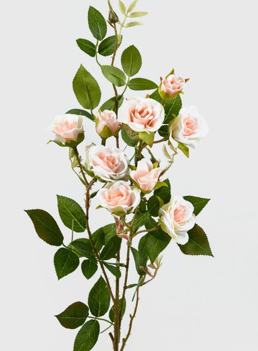 32 in White & Pink Old China Rose