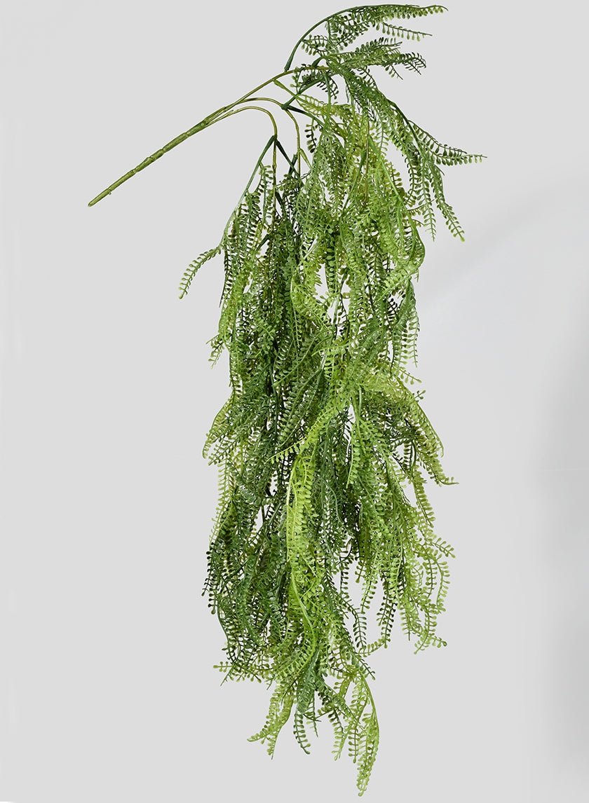 33 in Grass Bush