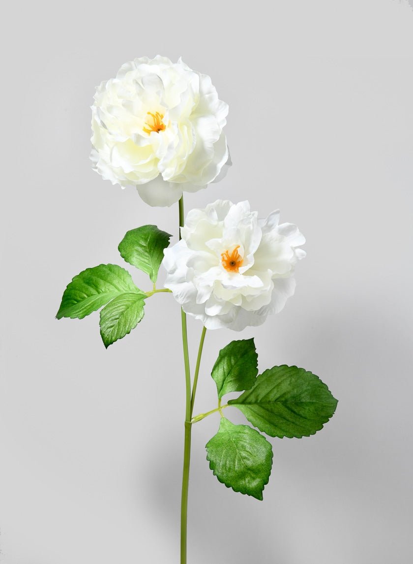 33 in White Peony Spray