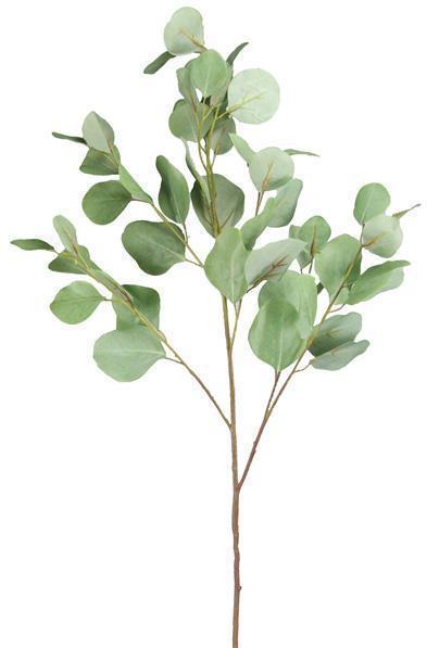 34" 2 - TONE GREEN SILVER DOLLAR EUCALYPTUS SPRAY
