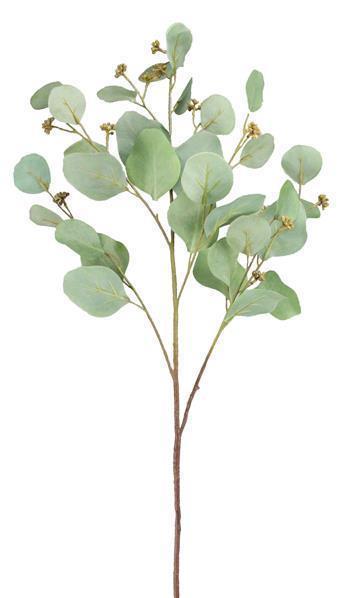 34" 2 - TONE GREEN SILVER DOLLAR EUCALYPTUS/BERRY