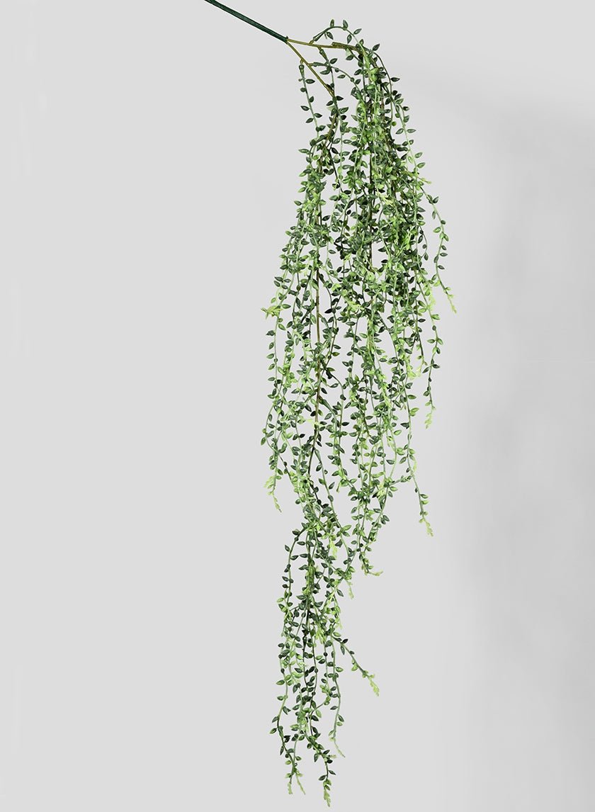 34 in Green Bell Bush