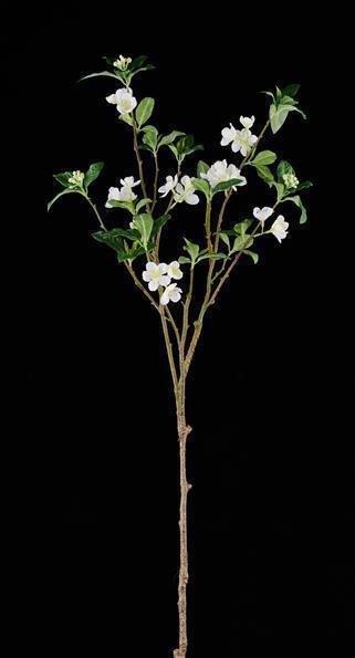 34.5"L DOGWOOD BRANCH 2 - TONE GREEN/CREAM/WHITE