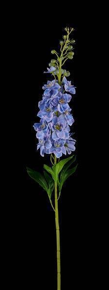 34"L DELPHINIUM STEM BLUE
