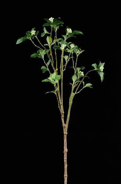 35.5"L LEAF/SEED SPRAY 2 - TONE GREEN/CREAM