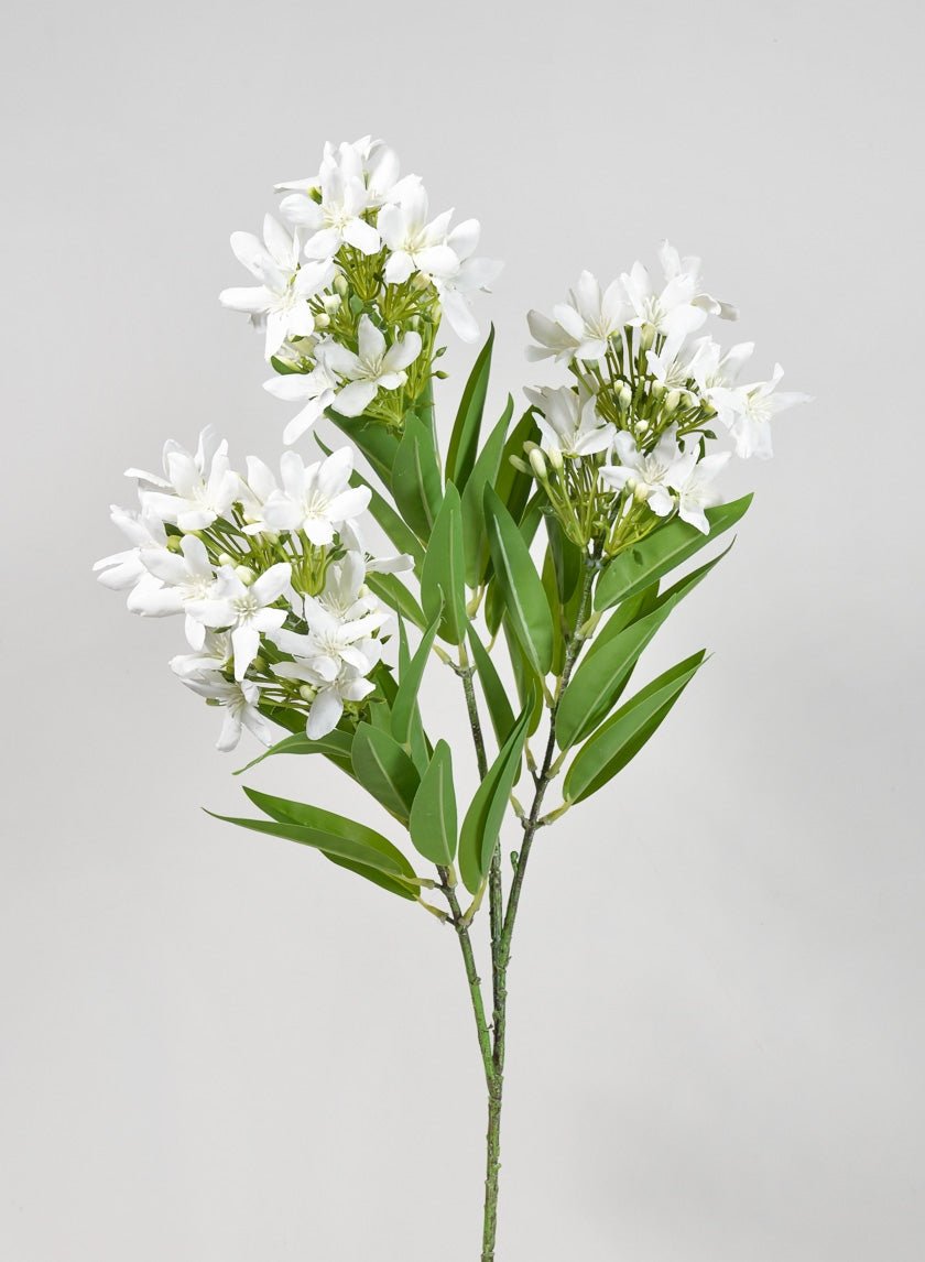36 in Blooming Stephanotis Branch