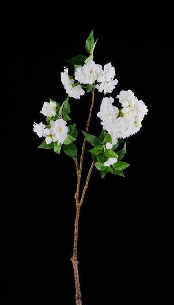 37.75"L CHERRY BLOSSOM BRANCH WHITE