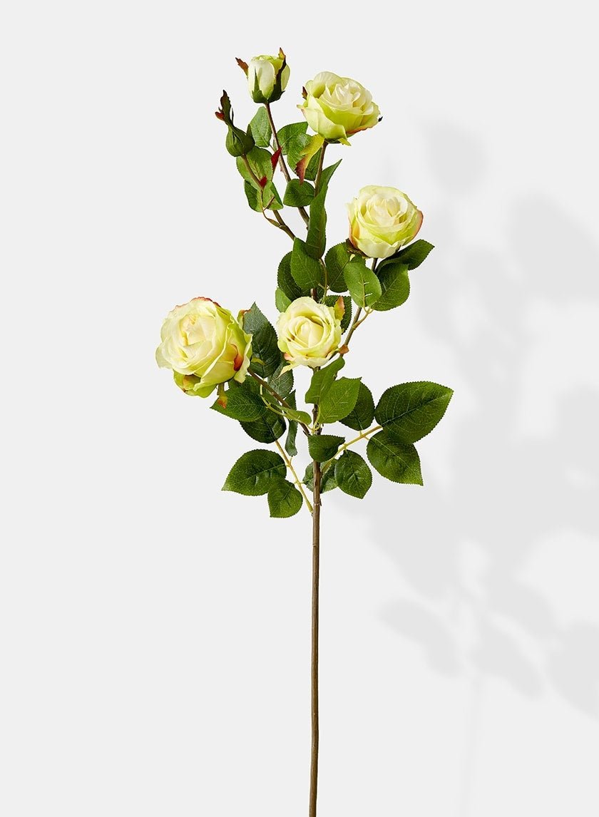 38 in Cream Hui Rose Spray