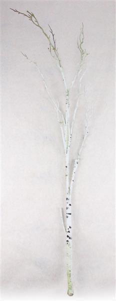 38.5"L BIRCH BRANCH NATURAL BIRCH